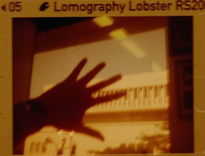 20240702LomoLobsterLomo110-5.jpg